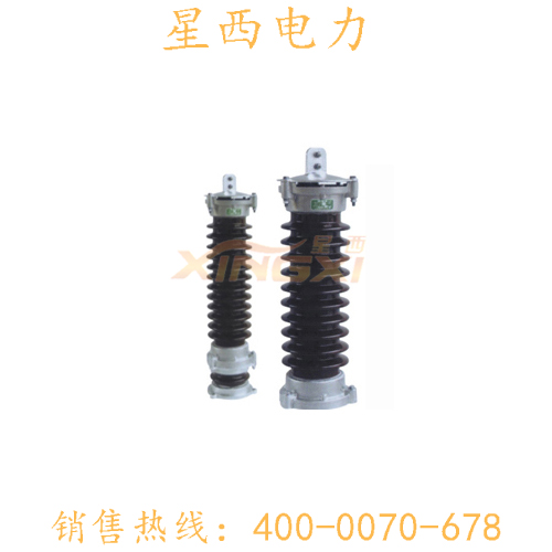 瓷外套避雷器